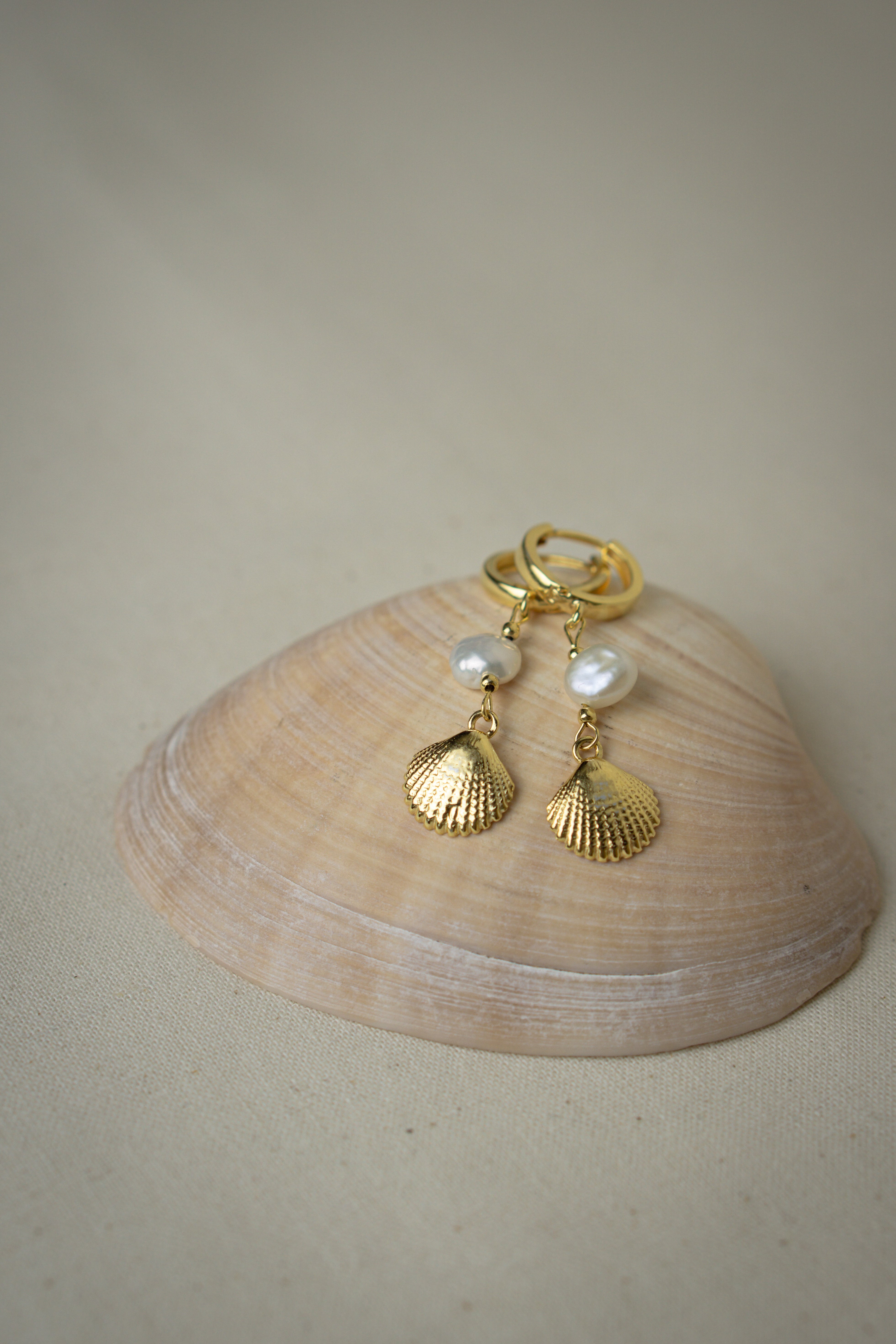 Creolen Ohrringe mit Muschelanhänger MAGIC SEA liegend auf Muschel abgebildet