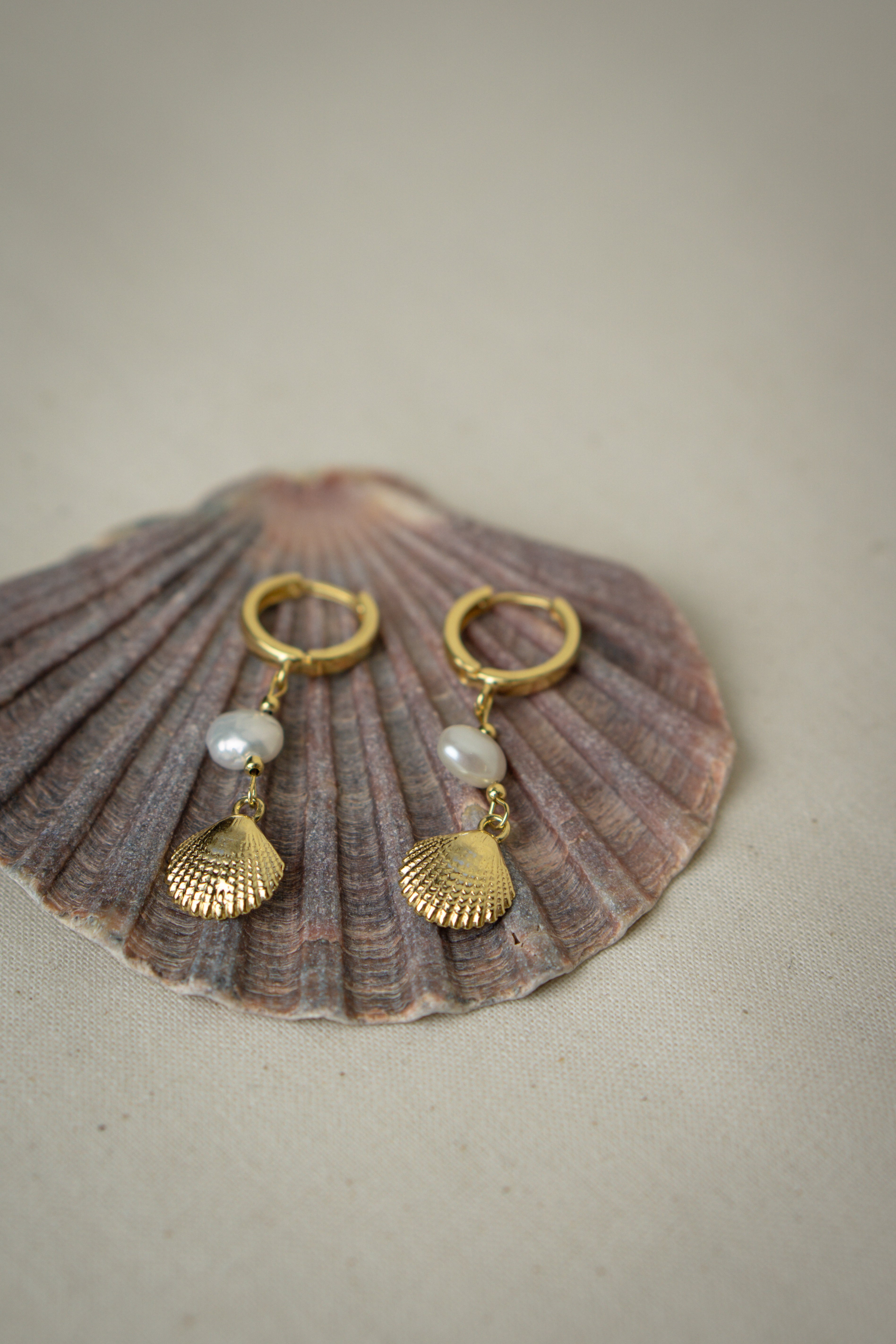 Creolen Ohrringe mit Muschelanhänger MAGIC SEA liegend auf einer Muschelplatte