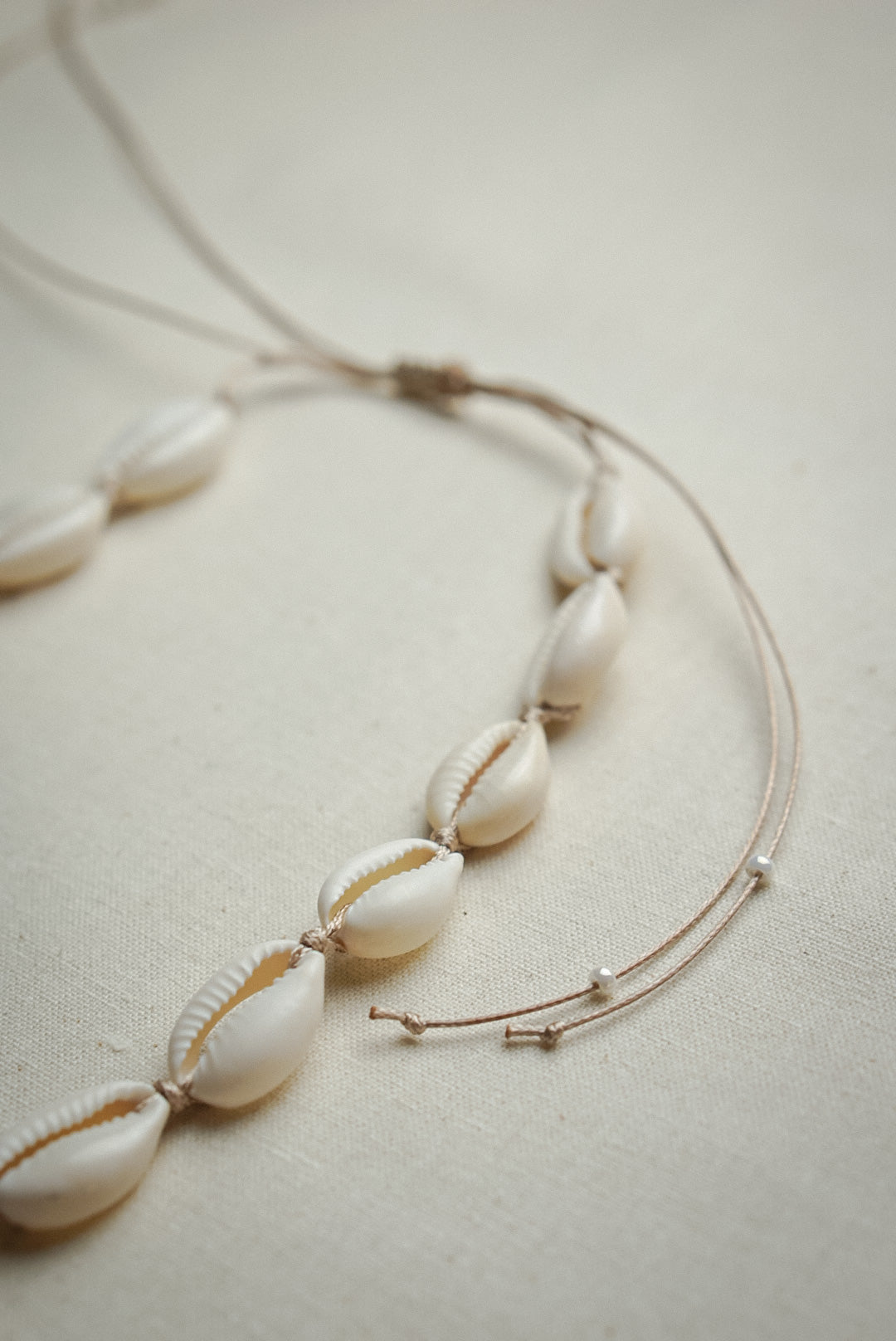 Kauri Muschel Kette/Choker TROPICAL DAYS - MoonGypsea