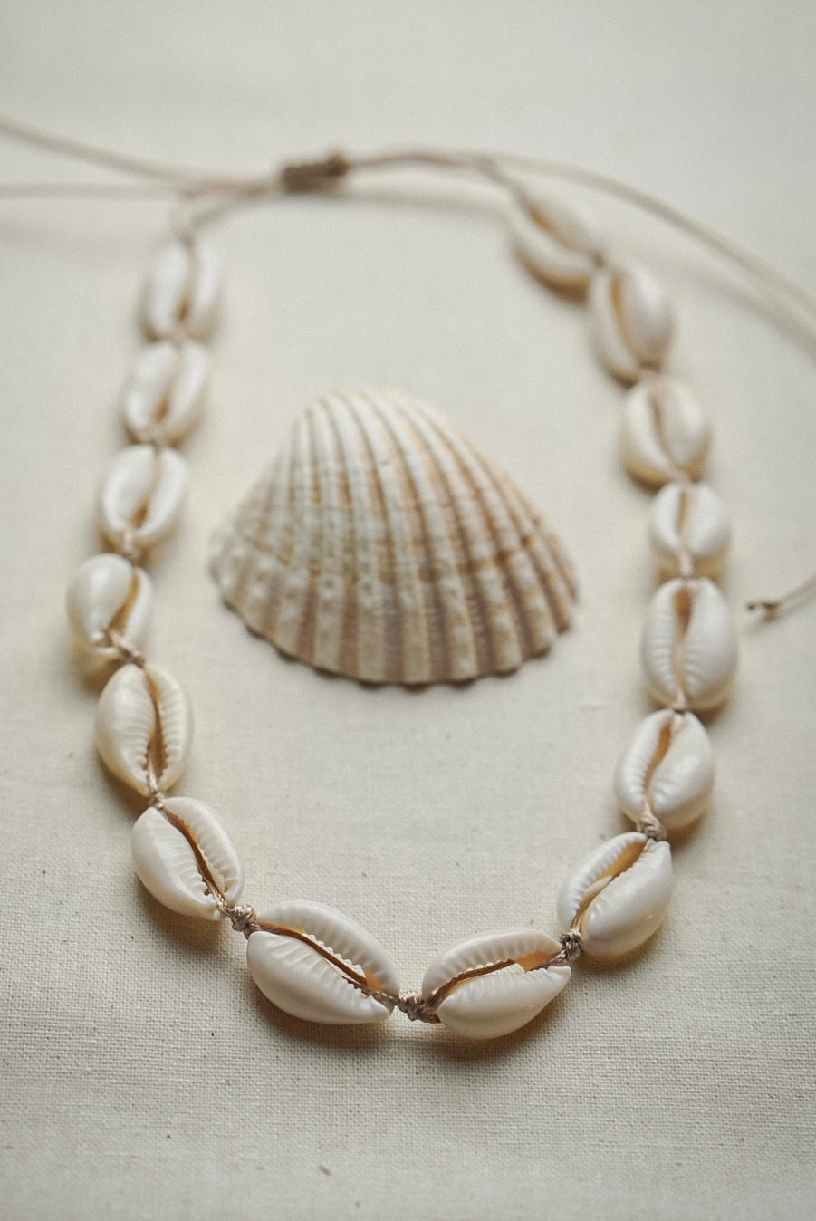 Kauri Muschel Kette/Choker TROPICAL DAYS - MoonGypsea