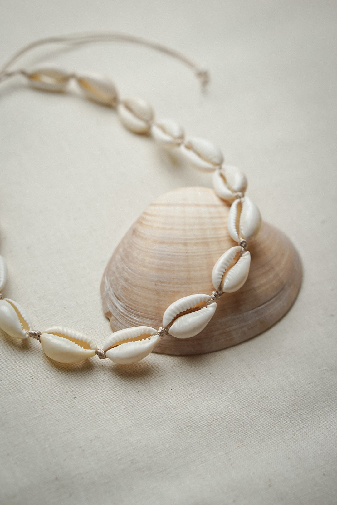 Kauri Muschel Kette/Choker TROPICAL DAYS - MoonGypsea