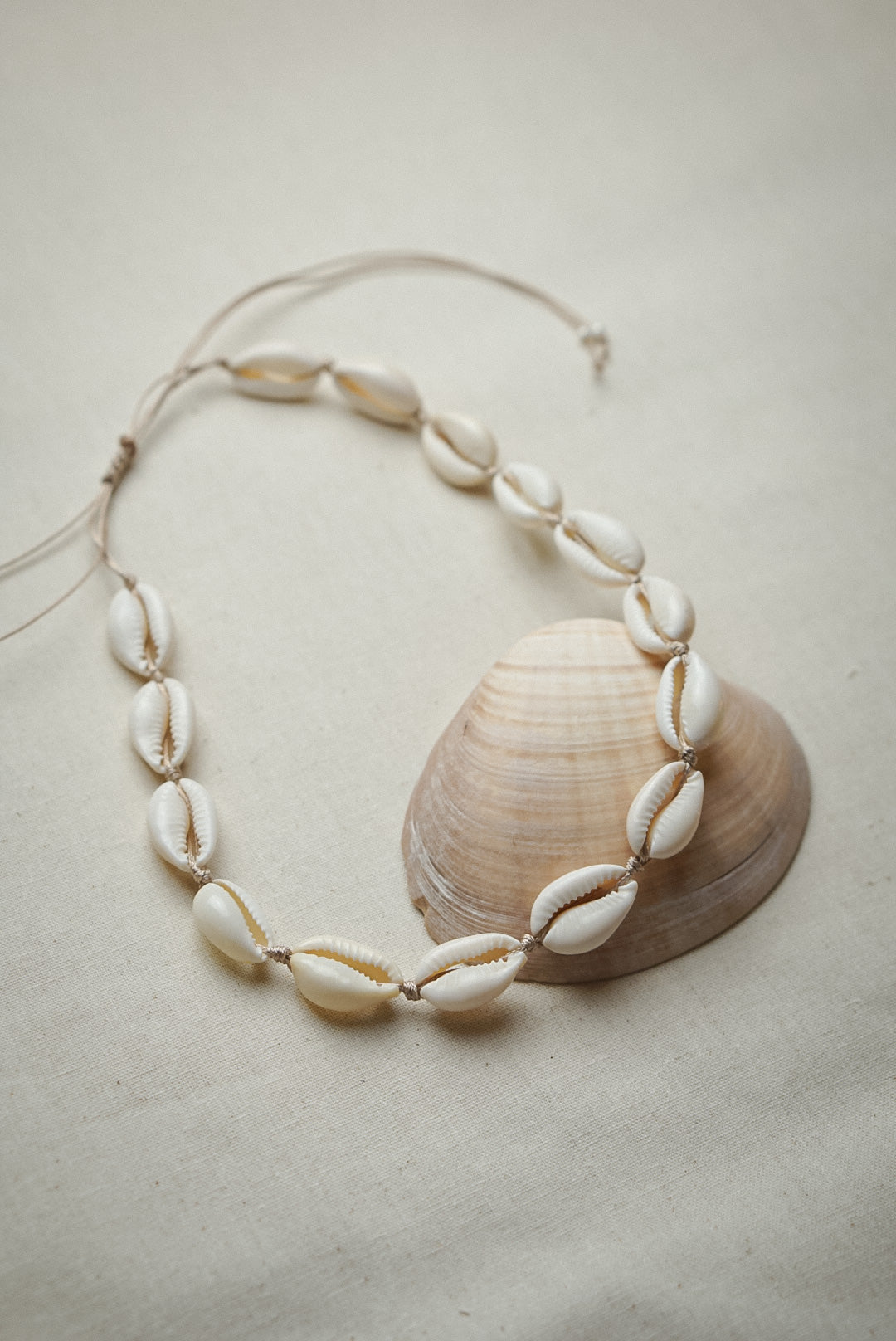 Kauri Muschel Kette/Choker TROPICAL DAYS - MoonGypsea