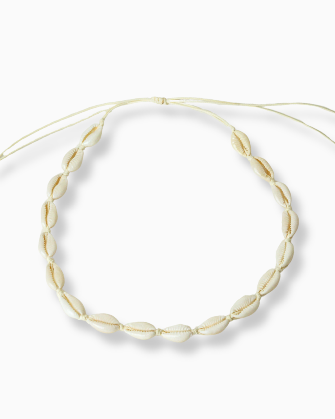 Kauri Muschel Kette/Choker TROPICAL DAYS Freisteller creme