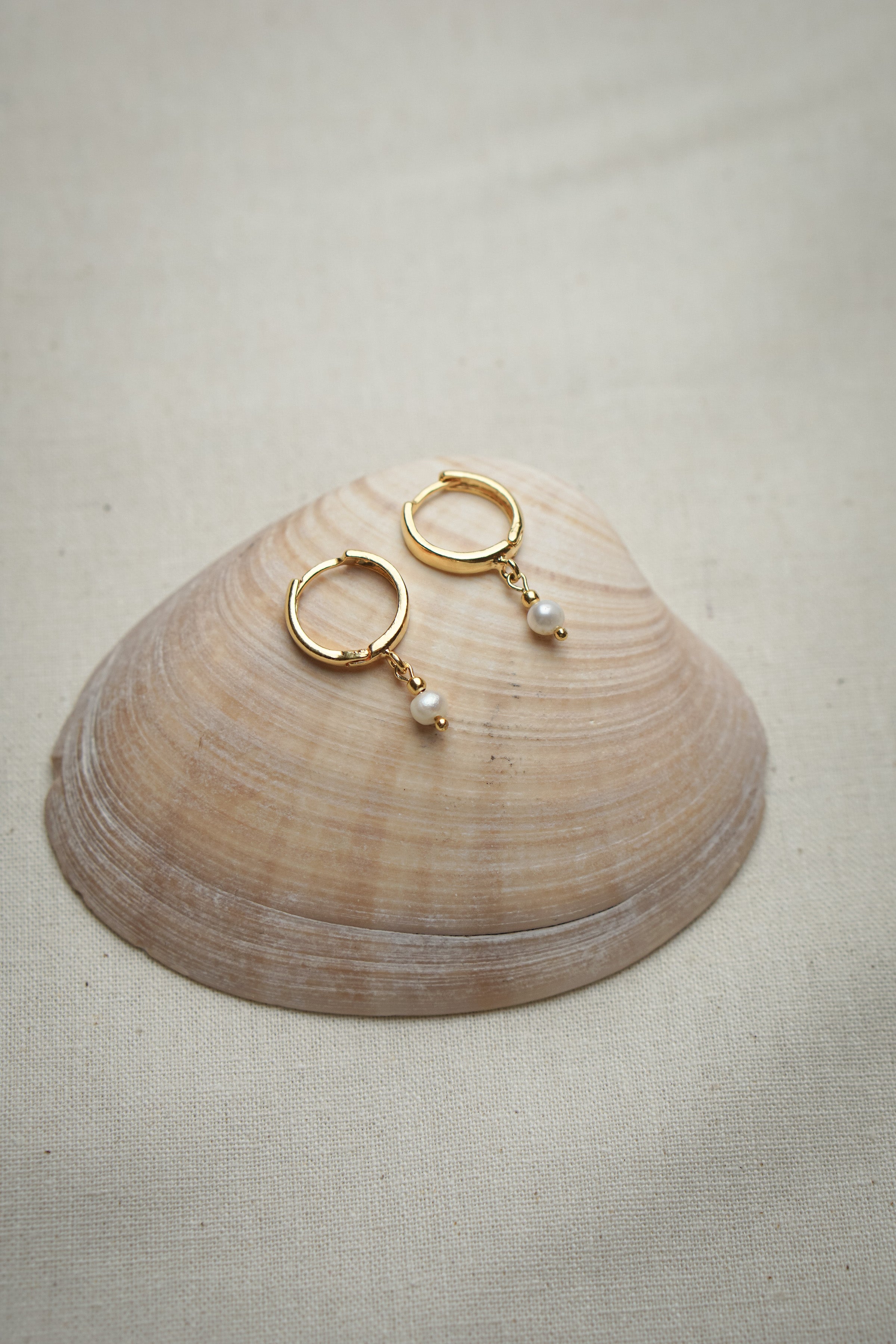 Creolen Ohrringe mit Perle SOUL OF THE SEA liegend auf Muschel in gold