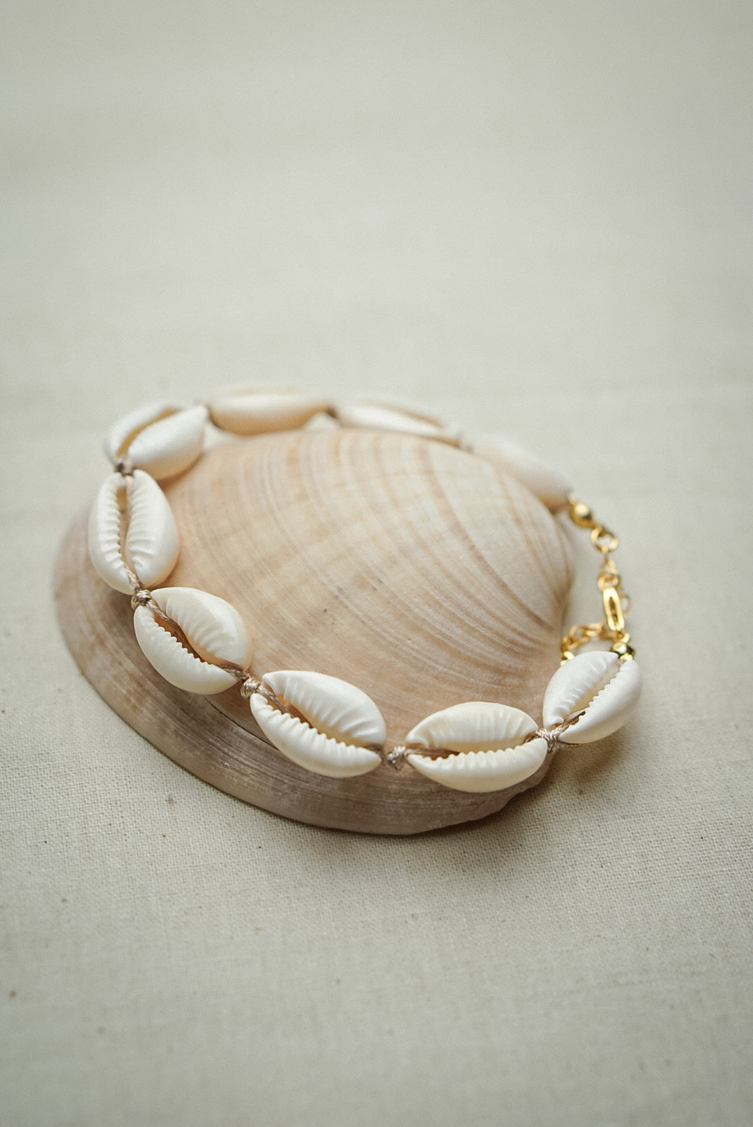 Muschel Fußkettchen TROPICAL DAYS - MoonGypsea