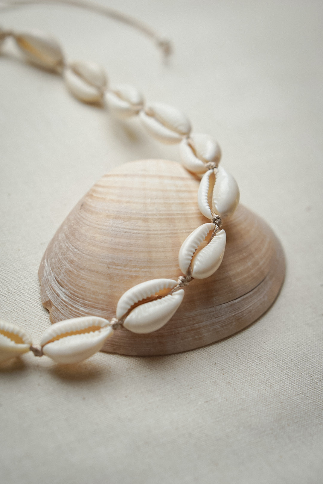 Kauri Muschel Kette/Choker TROPICAL DAYS - MoonGypsea